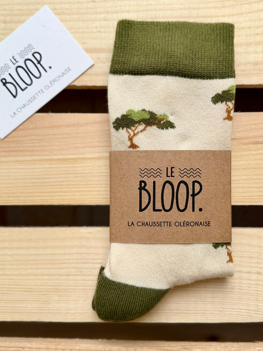 Chaussettes à Motifs de Pins Parasol