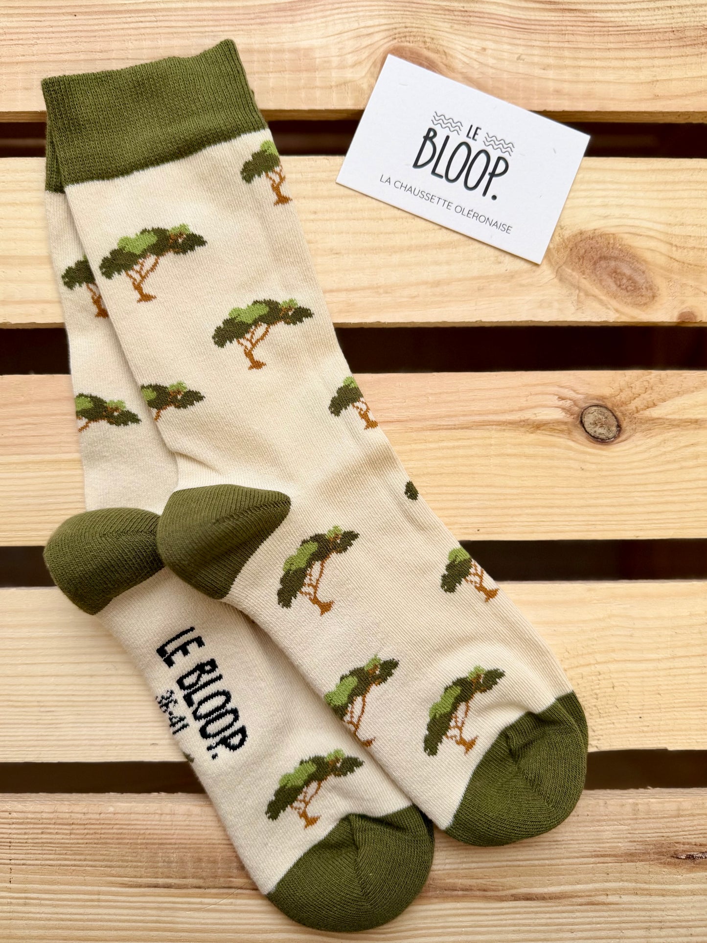 Chaussettes à Motifs de Pins Parasol