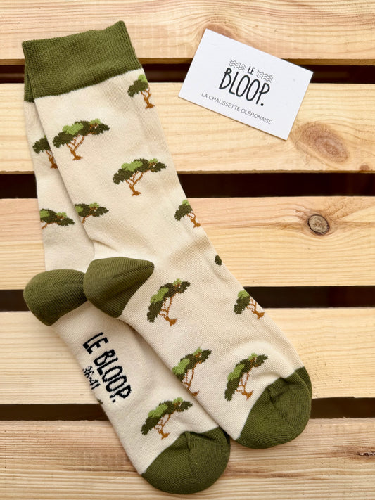 Chaussettes à Motifs de Pins Parasol