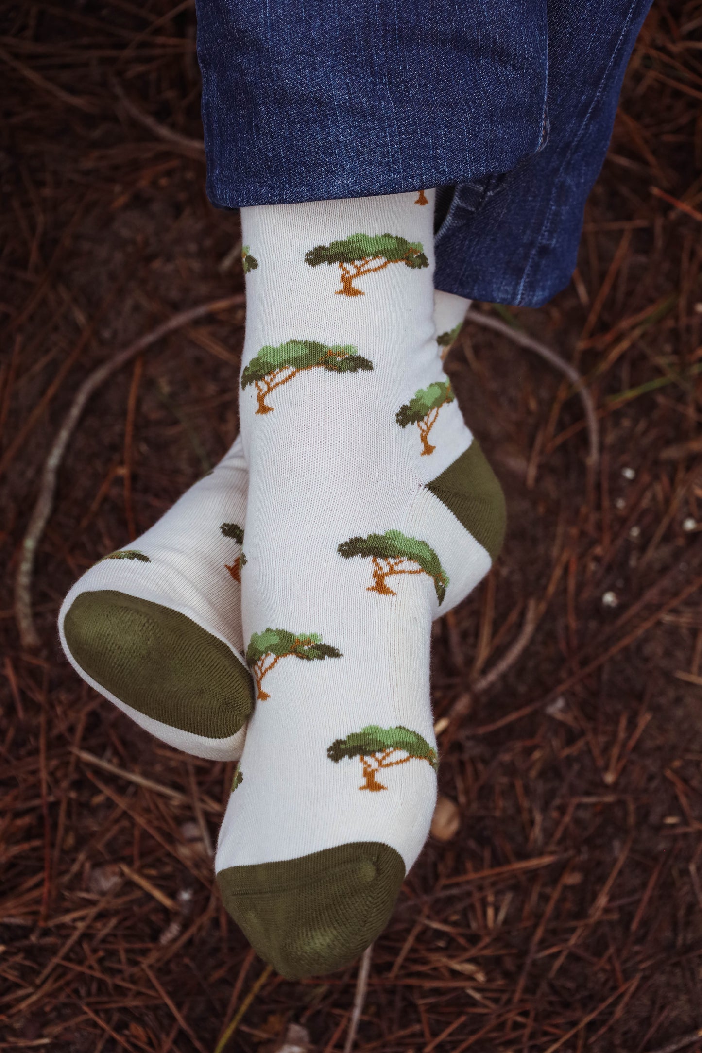 Chaussettes à Motifs de Pins Parasol