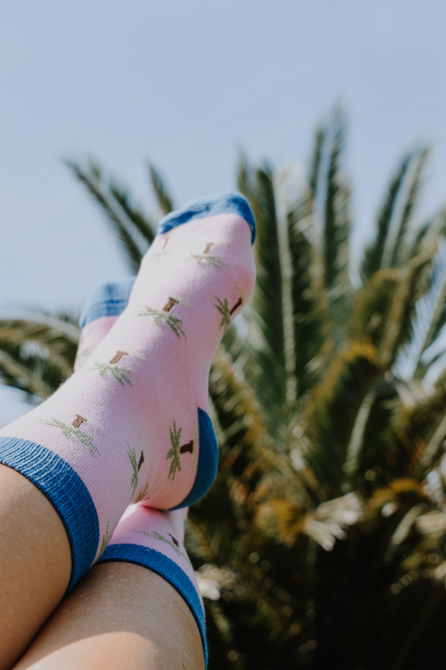 Chaussettes à Motifs de Palmiers