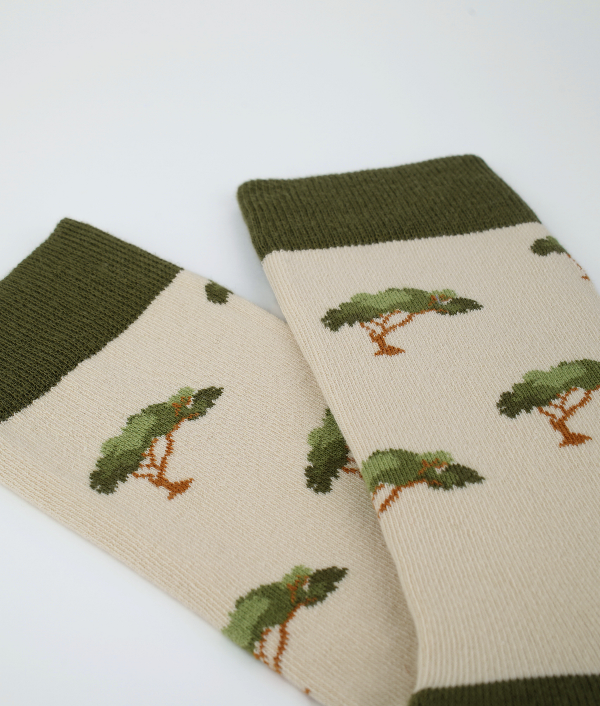 Chaussettes fantaisie en coton biologique vertes avec motif de pins parasols