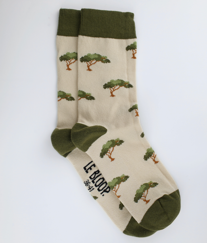 Chaussettes fantaisie en coton biologique avec motif de pins et parasols