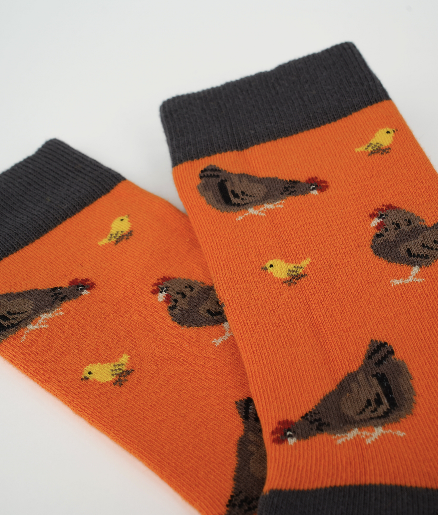 Chaussettes fantaisie en coton biologique orange avec motif de poules et poussins