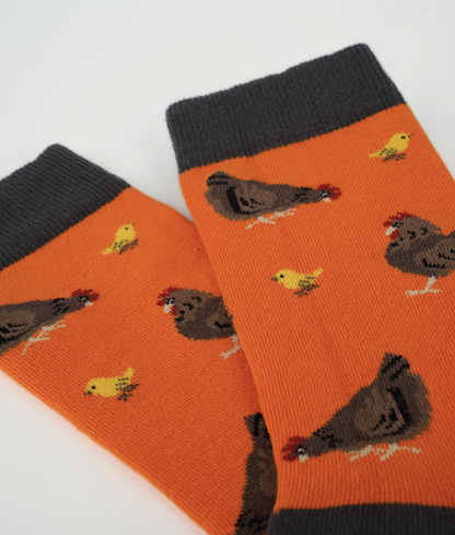 Chaussettes fantaisie en coton biologique orange avec motif de poules et poussins