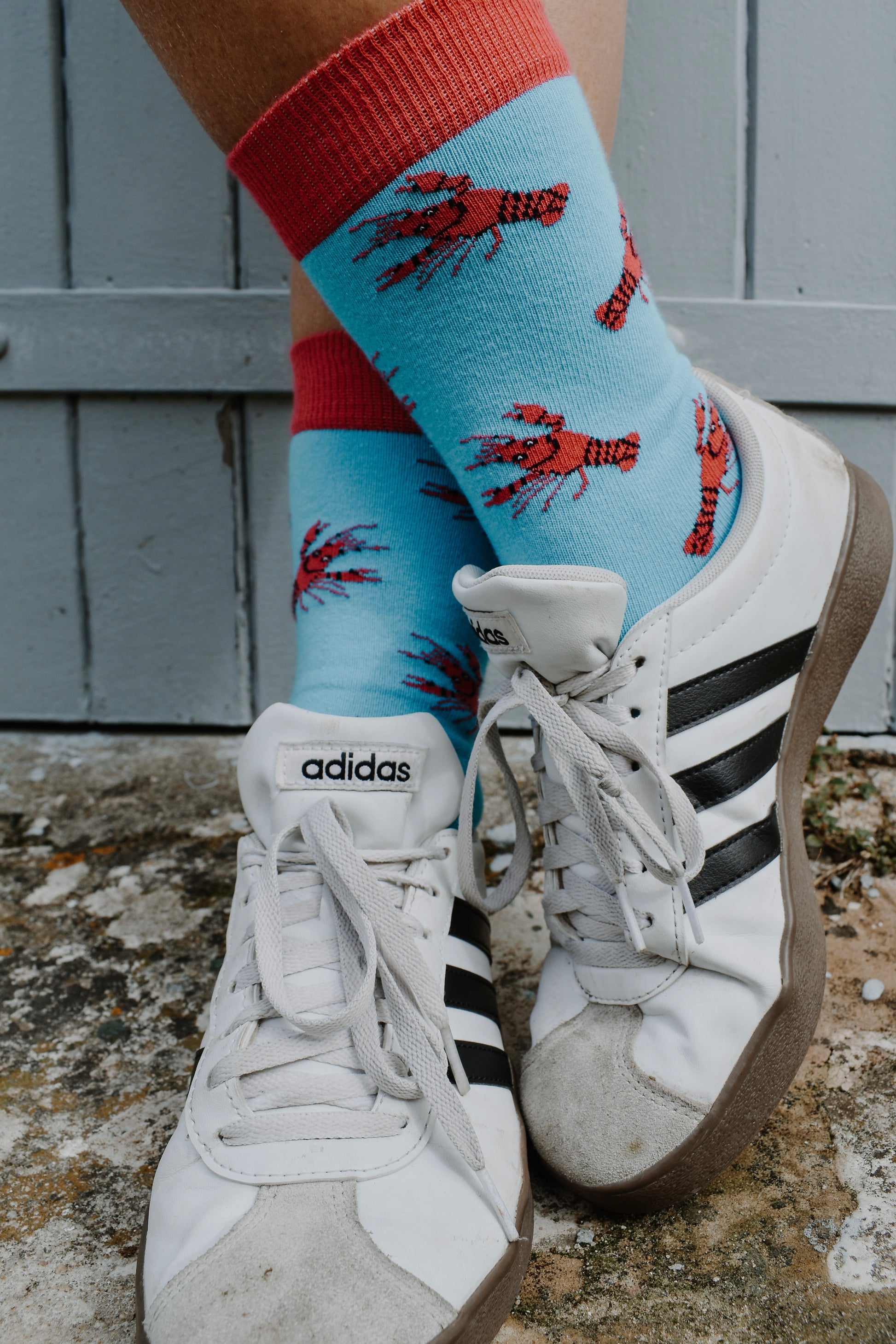 Chaussettes fantaisie en coton biologique bleues avec motif de homards rouges